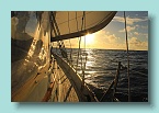 33_Sun Sail